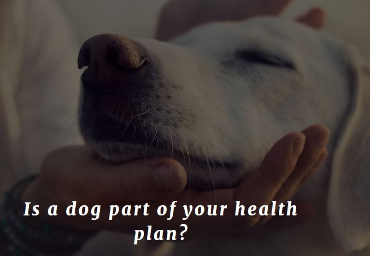 Is a dog part of your health plan?