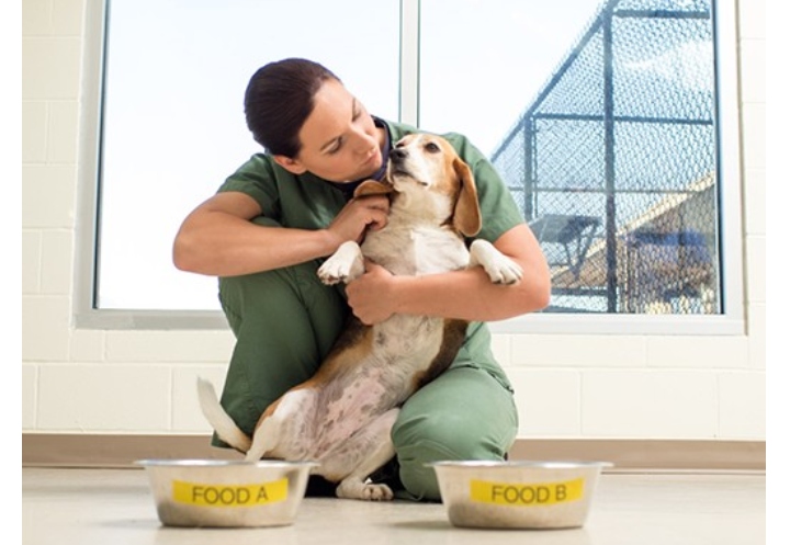 Animal Technicians Find Passion and Purpose at AFB’ s Parc