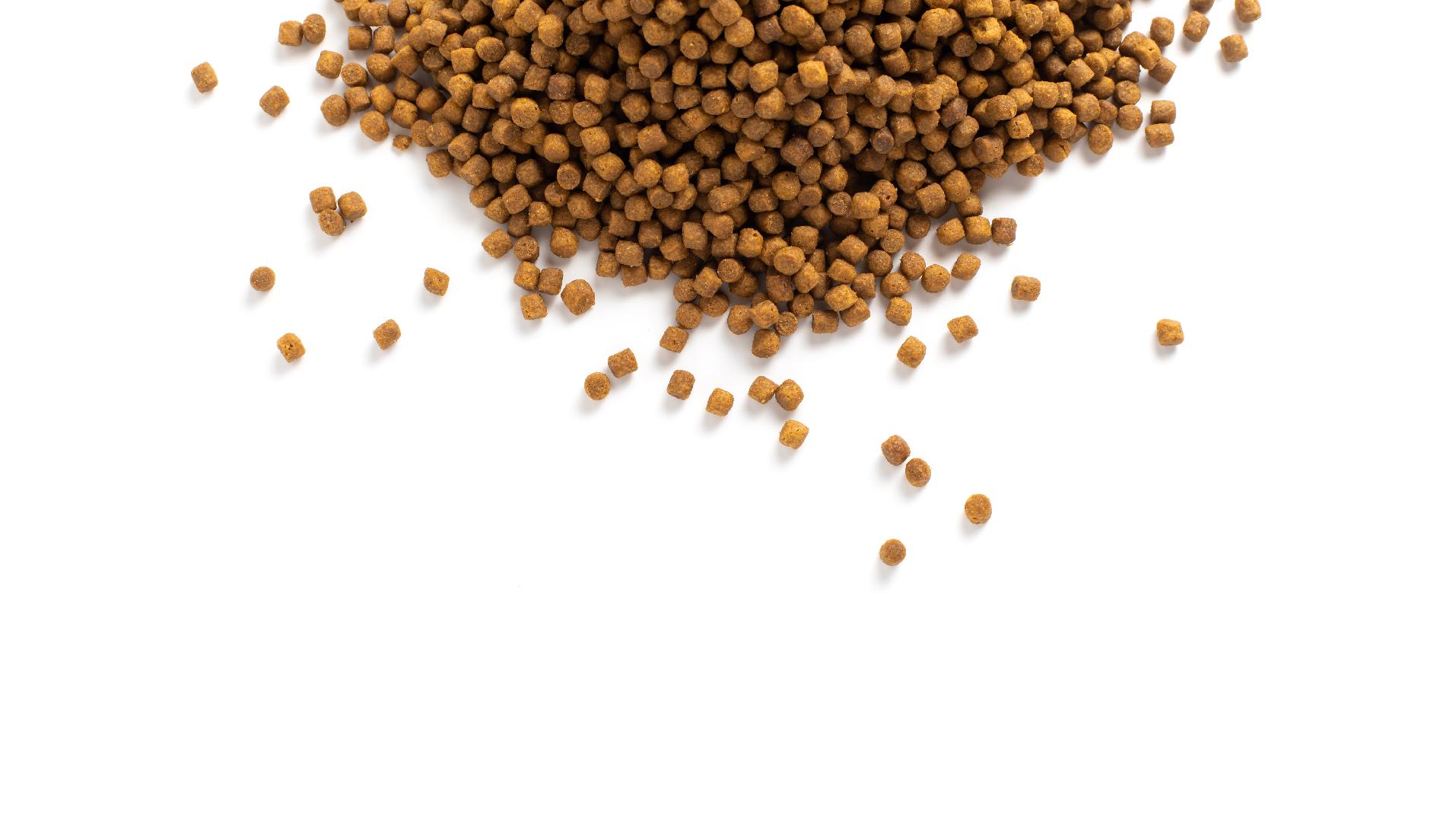 Market trends and the development of new protein sources in Pet Food