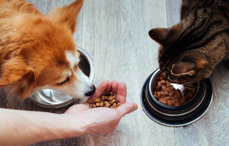 APC joins the All Pet Food family