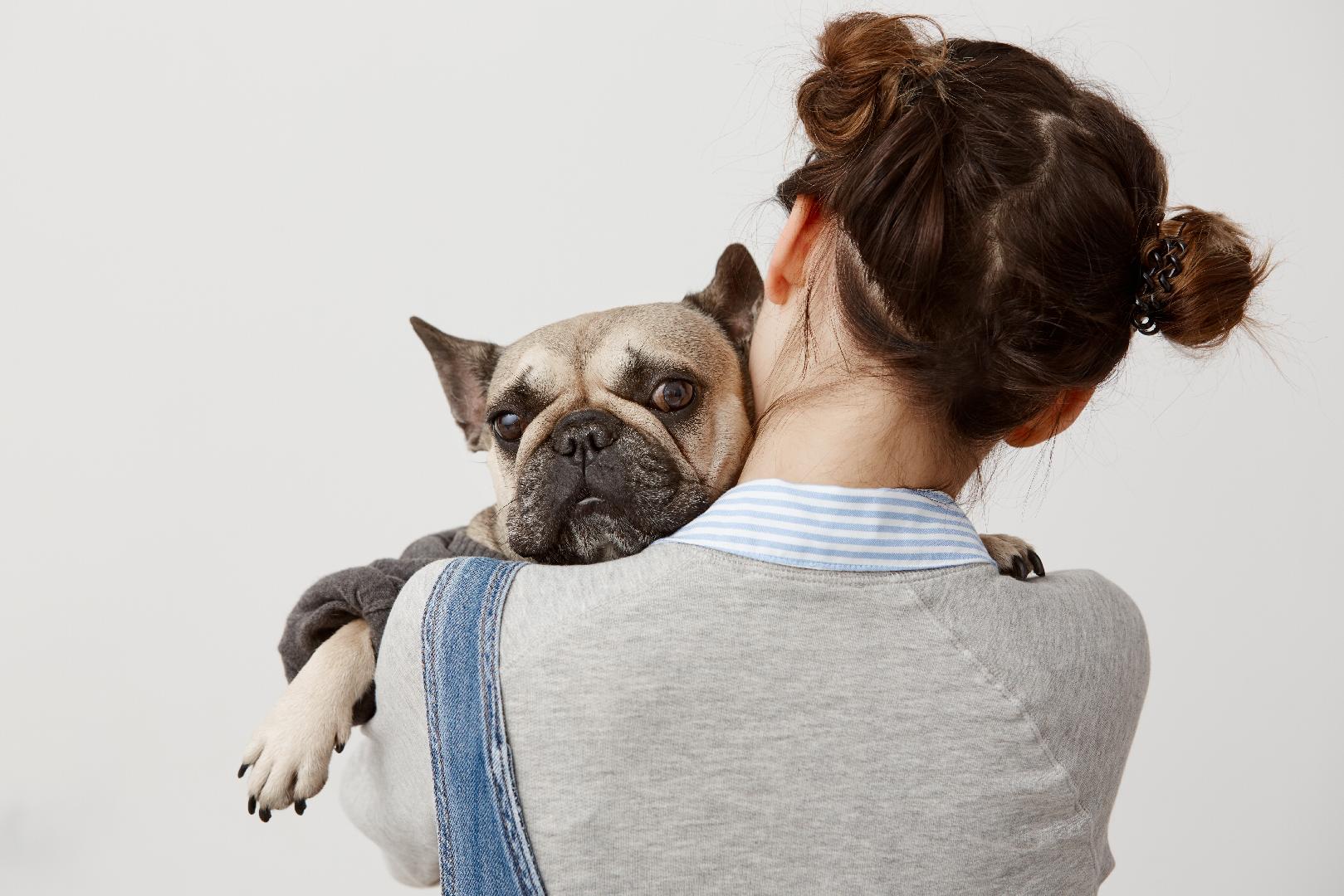 Pet Parents and their pets sharing the search for well-being