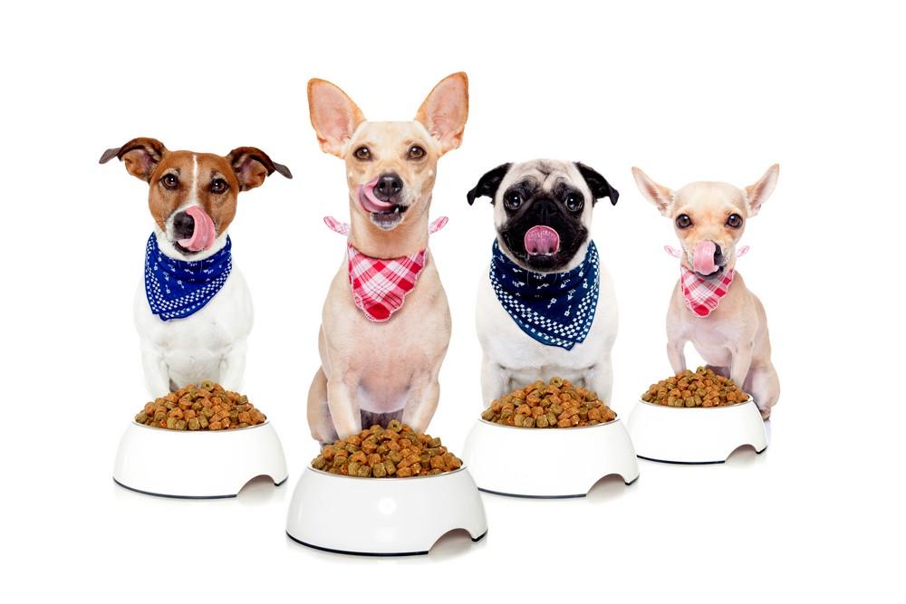 ZOANUGGETS PLUS:  Callizo Aromas´new solution for the production of stuffed kibbles  for pets.