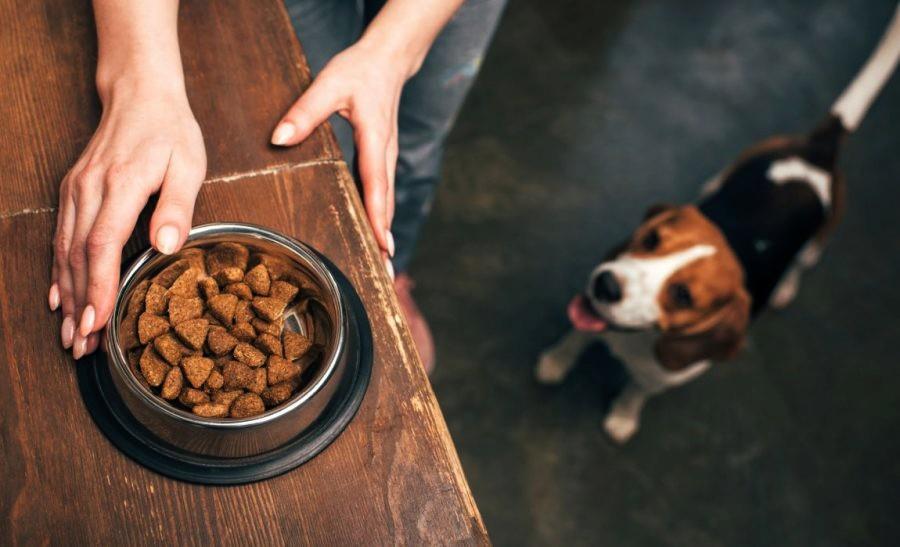 Myth-Busting False Claims about Pet Food