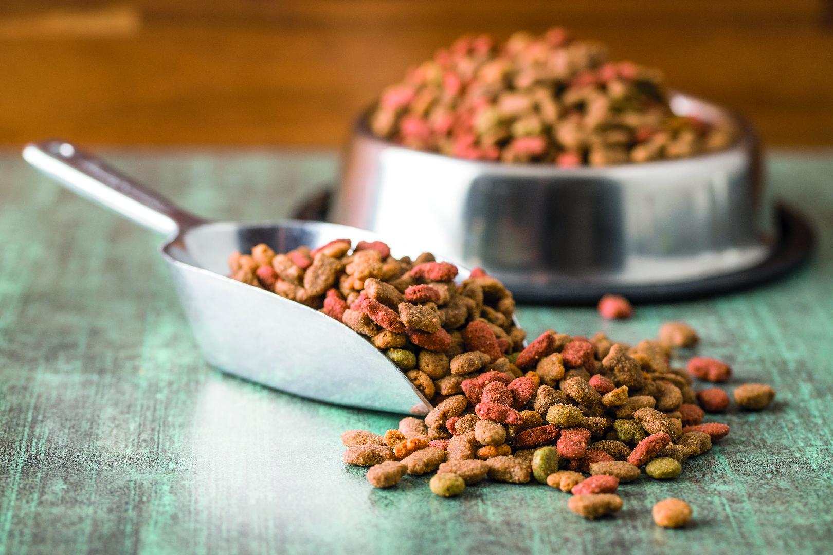 Ways to boost innovation in the pet food industry