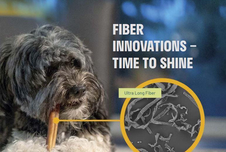 Fiber Innovations - Time to shine