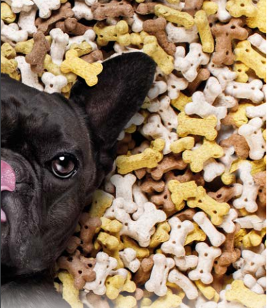 Is it possible to Control and Predetermine the Palatability in Pet Food?