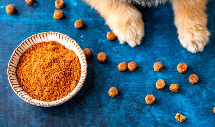 New study: Krill effectively increases Omega-3 Index in pets
