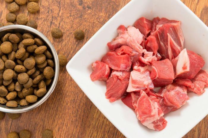 Freeze-dried Pet Food or Raw Meat - What are the Benefits?
