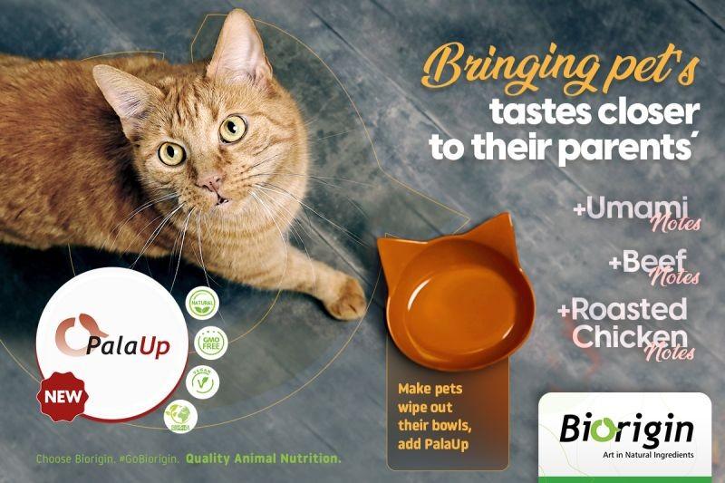 Get Your Pet Food Palatable