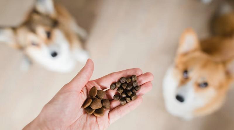 Global Pet Food Market and Trends