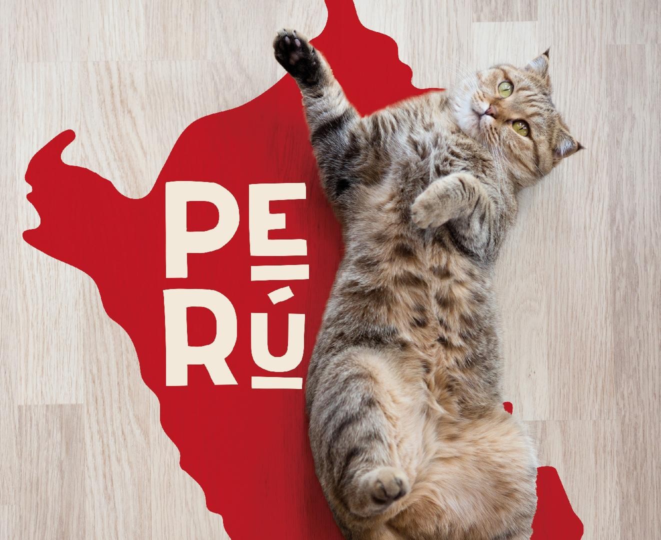 The Peru of pets: The pet food market in 2021