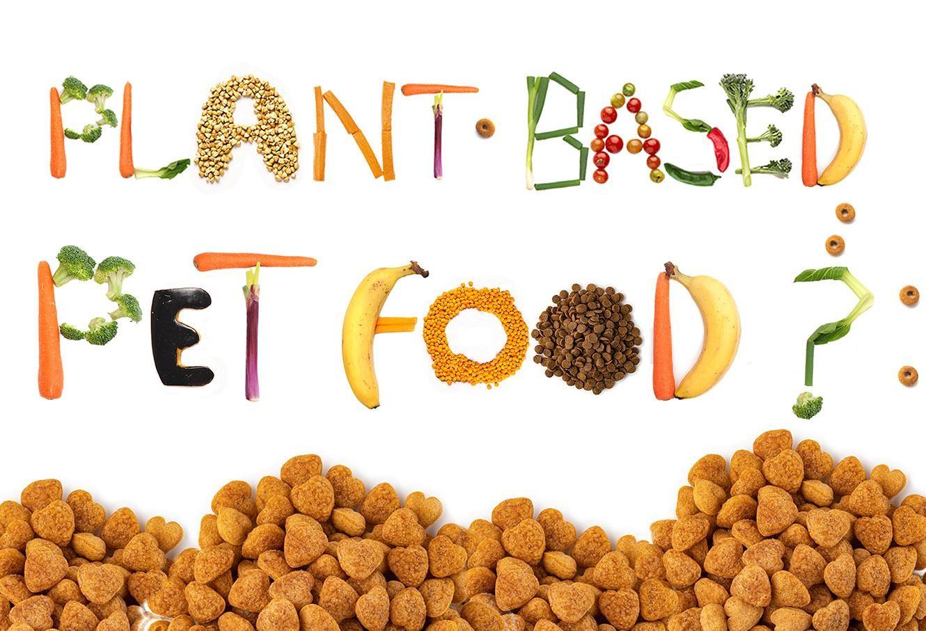 Plant-based Pet Food, from myth to reality: is it a viable product?