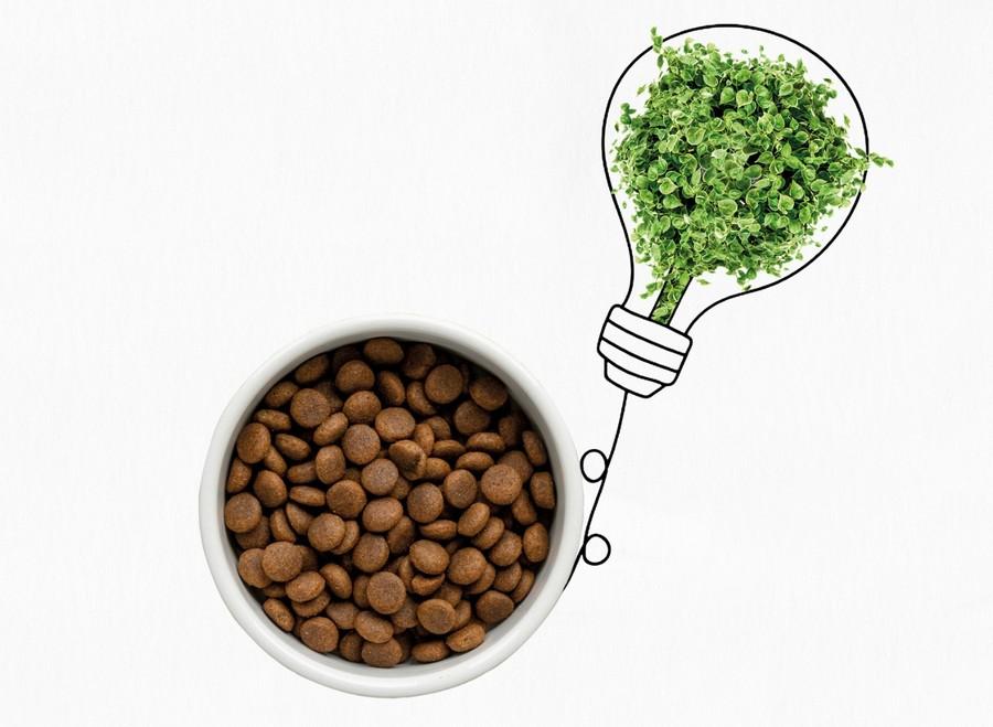 Sustainable pet food manufacturing process