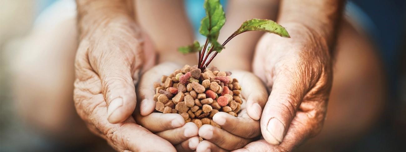 Life cycle assessment: How to measure pet food environmental impact