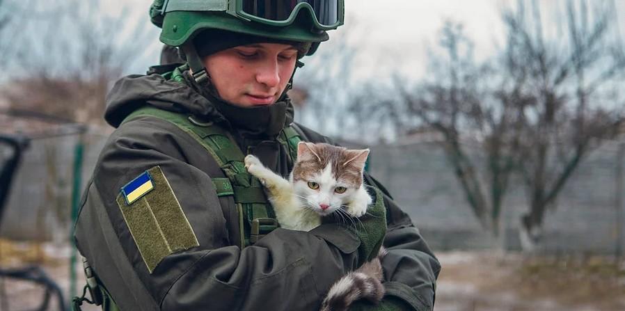 Ukraine pet food company keeps producing, starts charity